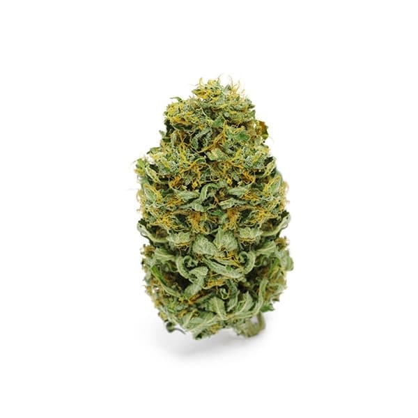 Banana Fumes > Original Sensible Seeds | Feminized Cannabis   |  Hybrid
